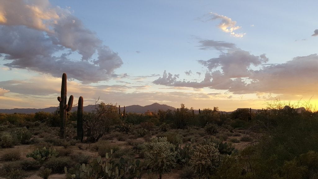 Exploring Arizona's Best Places to Visit