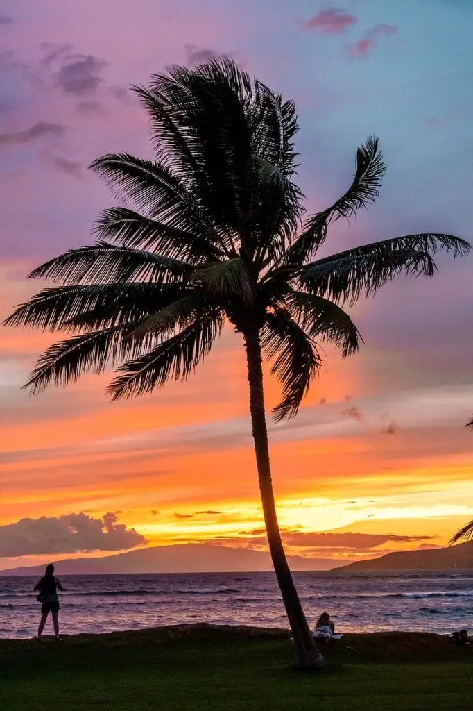 maui, hawaii, beach