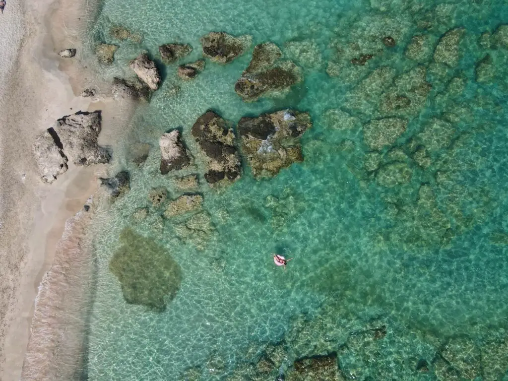 aerial view of people swimming on beach during daytime