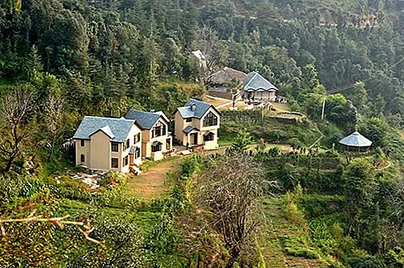 The dishes served here are inspired by the local dishes of Himachal and freshly prepared with homegrown vegetables and local market produce. The resort also offers excellent avenues for bird watching, hiking, river crossing and camping in the middle of the forest.