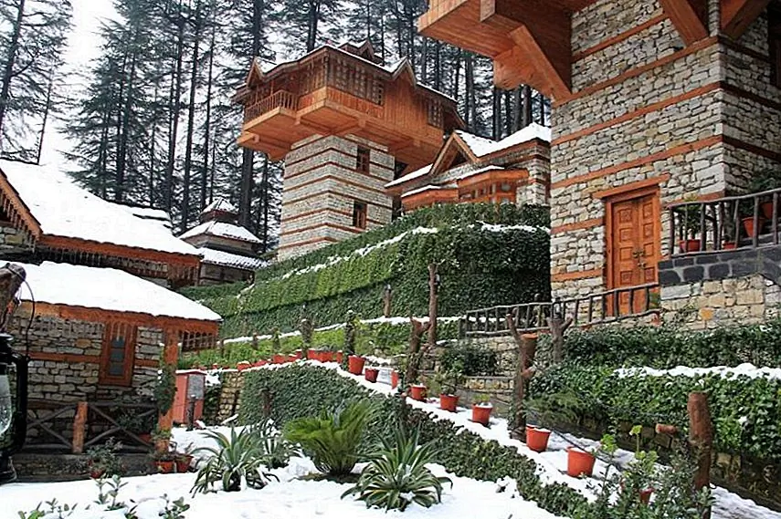 Surrounded by majestic Deodar forests, nature's orchestra is your wake-up call for the morning and the days stretch out lazily, sprinkled with amazing food, relaxing walks, rejuvenating massages, thrilling adventure sports and drinks flowing endlessly into the evenings.