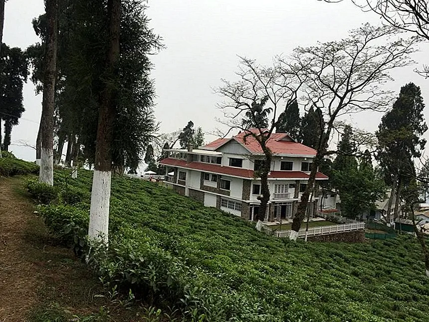 Enjoy the thick green forests, stroll through tea estates, go on a trek, take a walking tour or simply contemplate the beauty of nature - whatever you do, you will not have a dull moment at the resort.