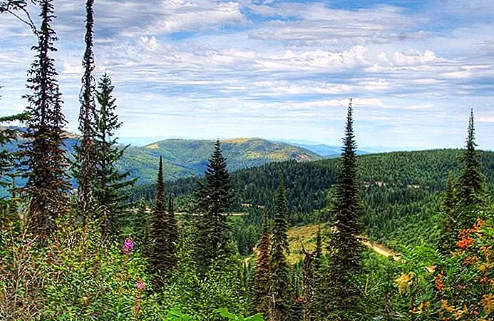 Mount Spokane State Park Mike Tigas / photo modified