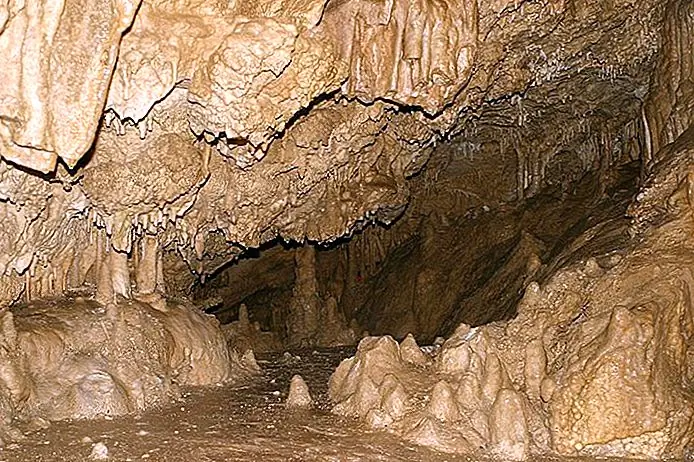 Oregon Caves National Monument Vlad Butsky / photo modified