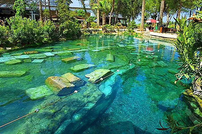 Antique pool of Pamukkale