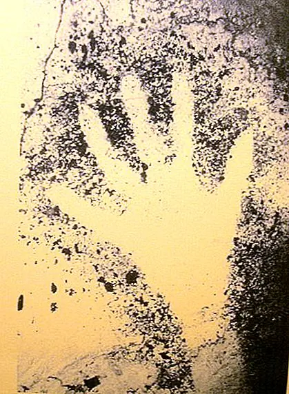 Overview of a hand dating back 28,000 years. Experts believe these may have been the artists' signatures (by SiefkinDR)
