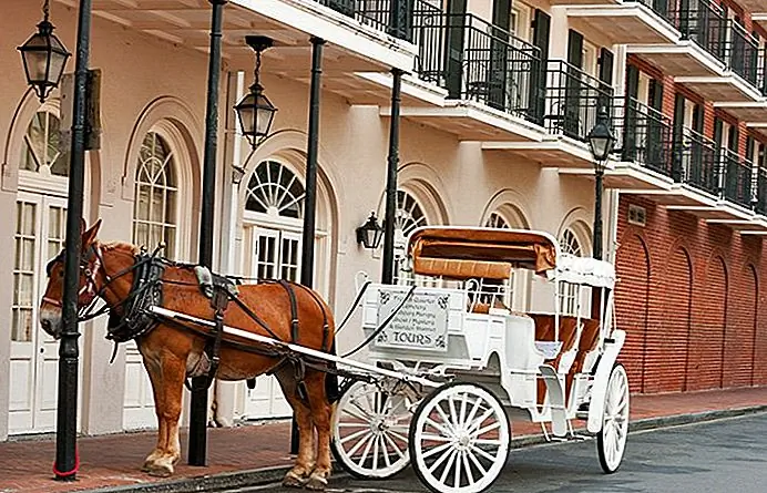 Horse carriage in the French Quarter