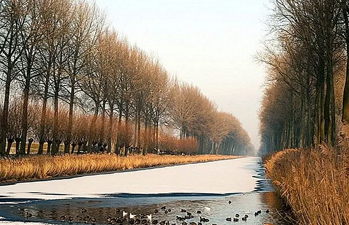 Schipdonk Canal