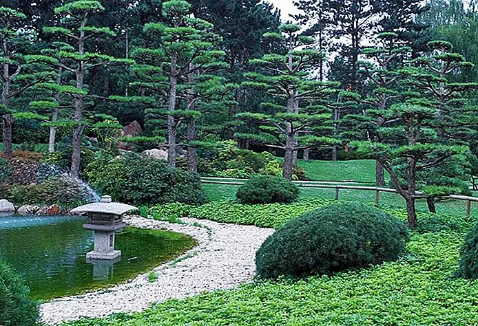 Japanese Garden Jackets Hoffmann van Nordpark / photo modified