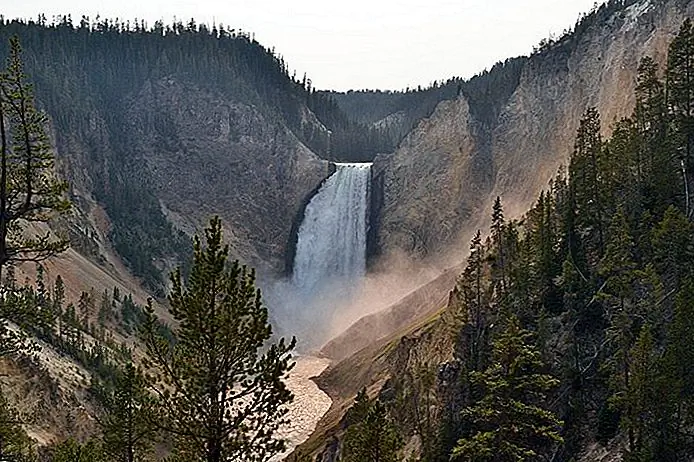 Grand Canyon of the Yellowstone: South and North Rim | Foto auteursrecht: Brad Lane