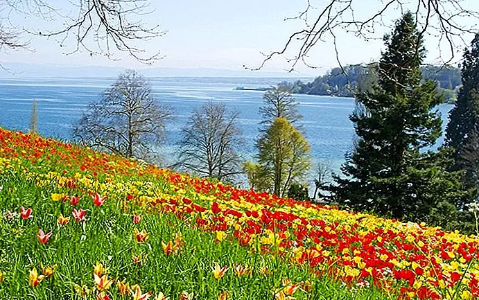 Insel Mainau: the flower island of Lake Constance
