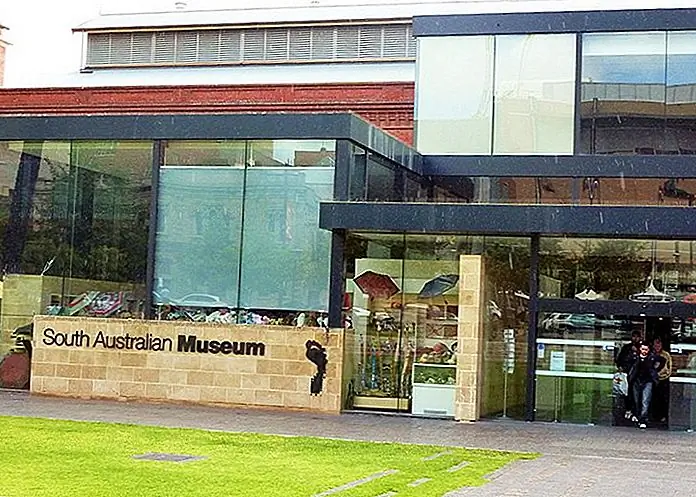 South Australian Museum Nathan / photo modified