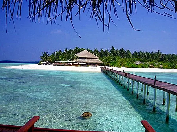 Filitheyo Bar, Maldives (Photo by MadMedea)