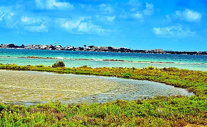 Ses Salines Natural Park (Eiland Formentera)