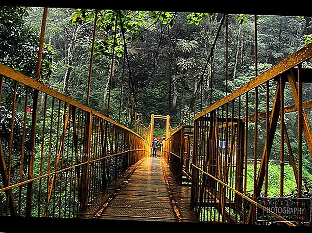 Hanging Bridge (Photo by Sreejith Kenoth)