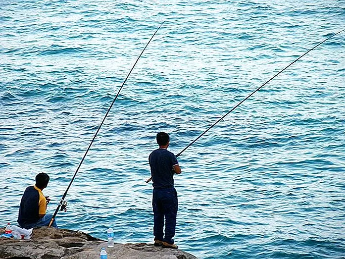 Fishing near Sydney Brian Giesen / photo modified