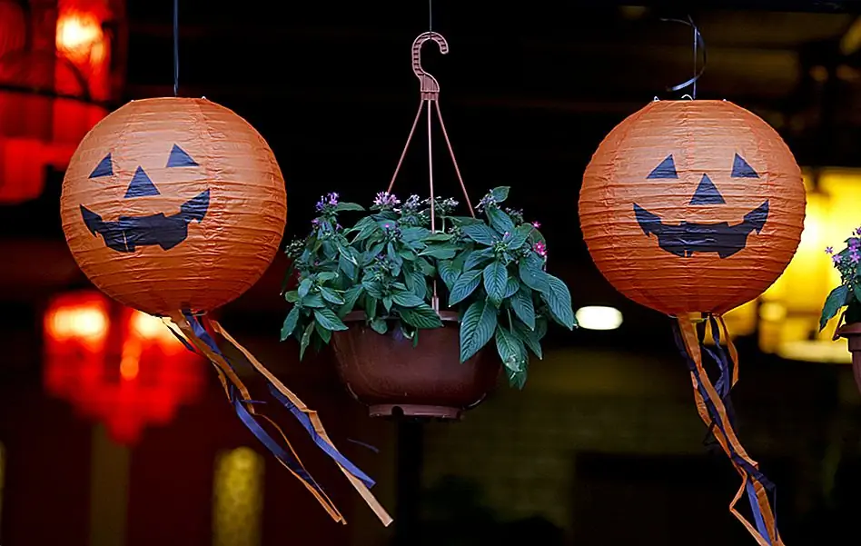 With these Halloween traditions around the world, get ready and have a Spooktacular Halloween 😉