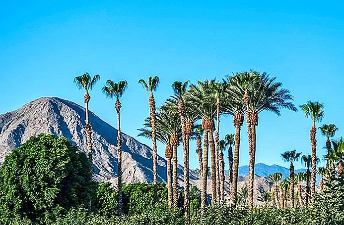 View of the San Jacinto Mountains in Palm Springs