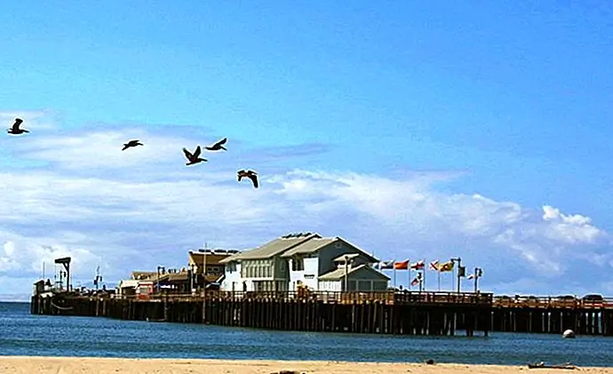Stearns Wharf harminder dhesi photography / photo modified