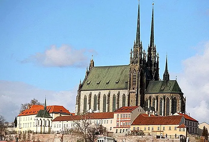 Brno's Cathedral of St. Peter and Paul