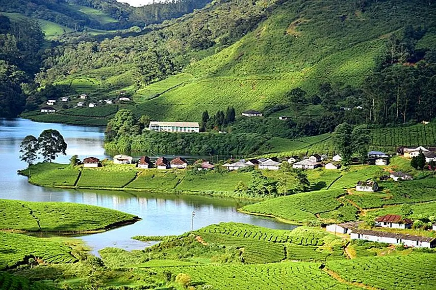 Stately plantation houses, aromatic fields and the faint scent of eucalyptus in the air welcome you to this picturesque village. Whatever your reason for visiting Munnar, you are sure to come back rejuvenated!