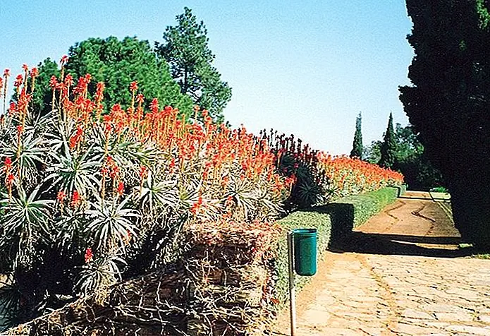 Pretoria National Garden, Gauteng stuart001uk / photo modified