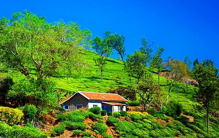 The picturesque hill station has the Nilgiri Mountain Railway, one of the most popular mountain railways in India.  It's not just a train journey, it's a slow motion version of the train journey against hilly, lush film set backgrounds and over bridges.