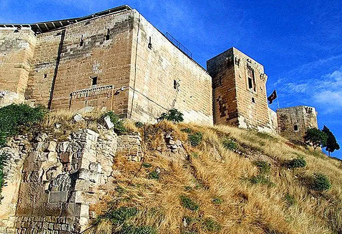 Citadel (kale)