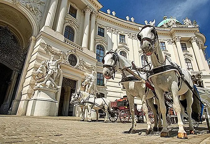Horse and carriage in Vienna