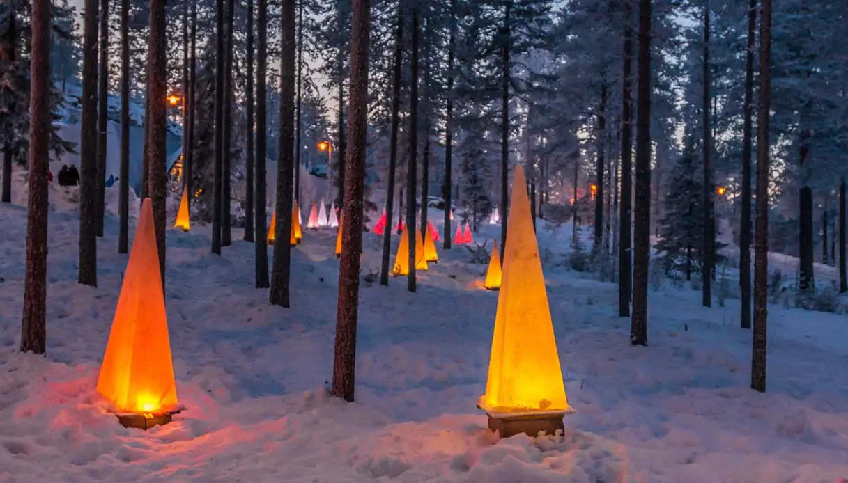 Forest in Finland with Christmas decorations