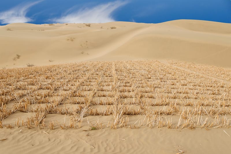Deserto del Taklamakan