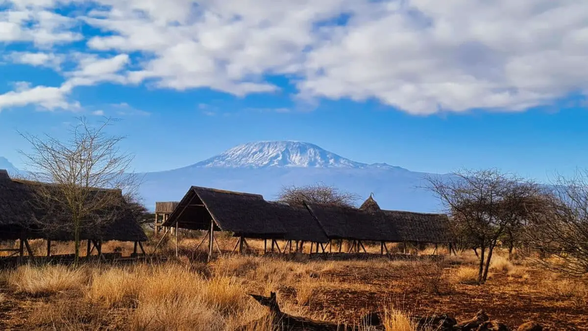 Kilimanjaro and Amboseli