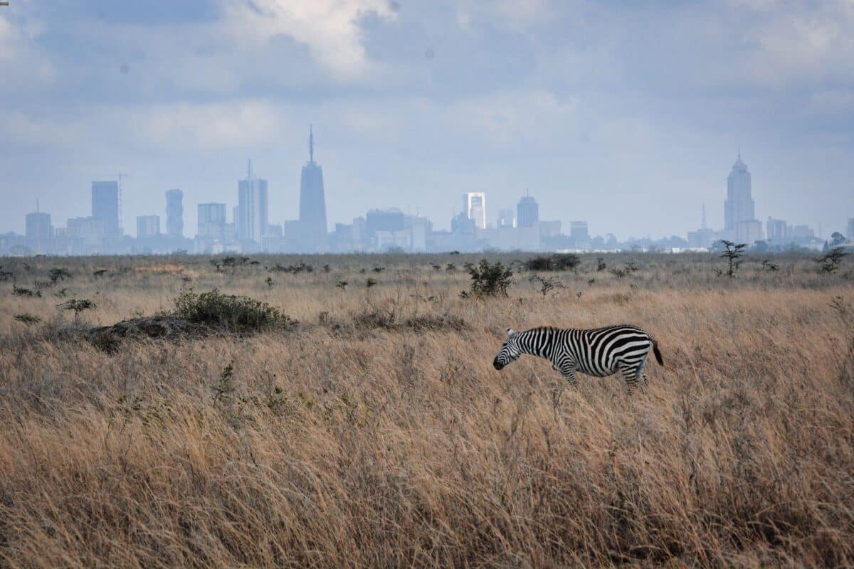 Parco Nazionale di Nairobi