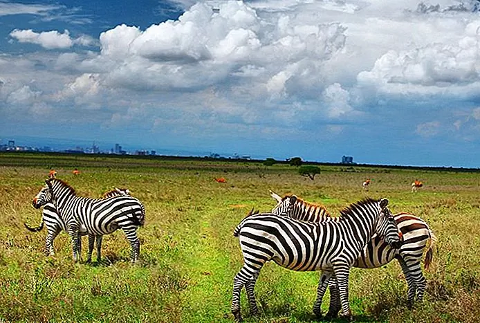 Tourist Attractions in Nairobi