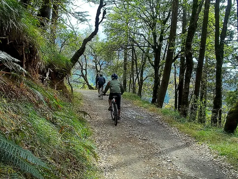 Easy Day Walks in Shimla