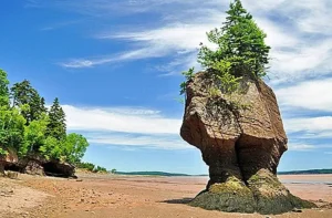 Attractions in the Bay of Fundy