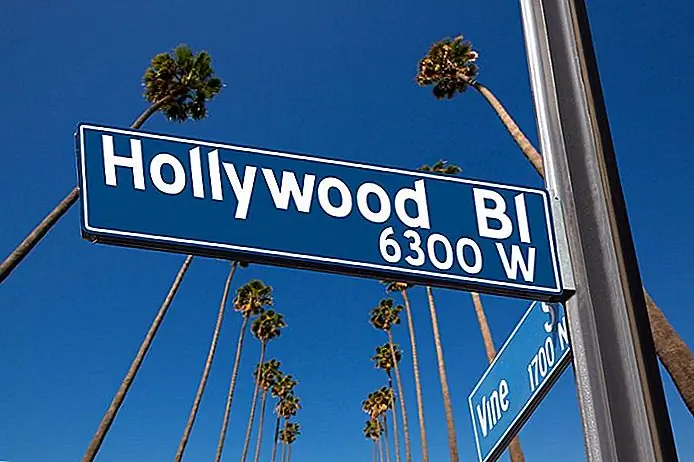 Where to Stay in Hollywood