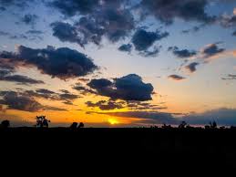 images (1)
